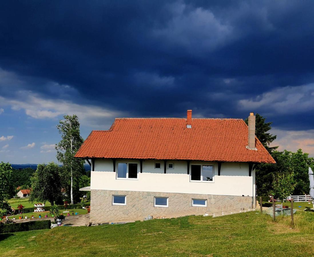 Odmor Na Selu Babajic Apartment Ljig ภายนอก รูปภาพ