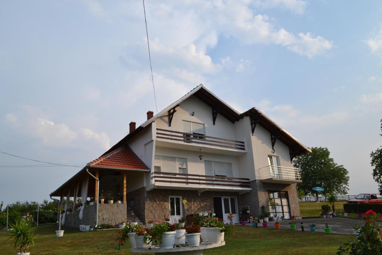 Odmor Na Selu Babajic Apartment Ljig ภายนอก รูปภาพ