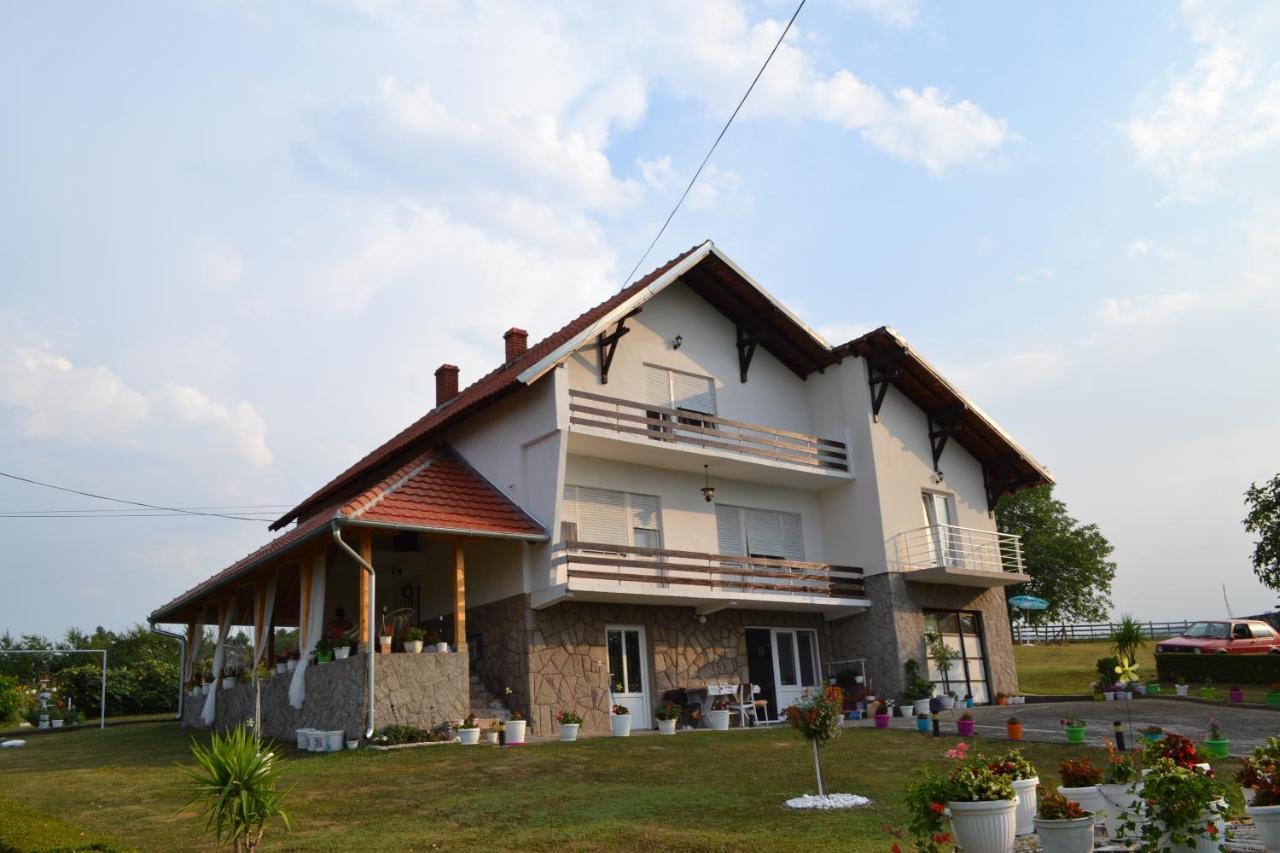 Odmor Na Selu Babajic Apartment Ljig ภายนอก รูปภาพ