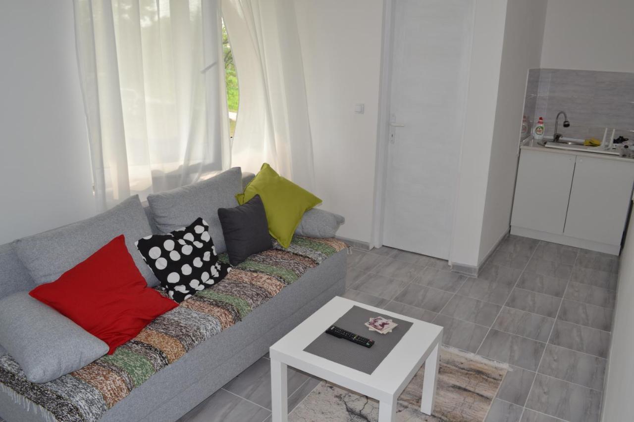 Odmor Na Selu Babajic Apartment Ljig ภายนอก รูปภาพ