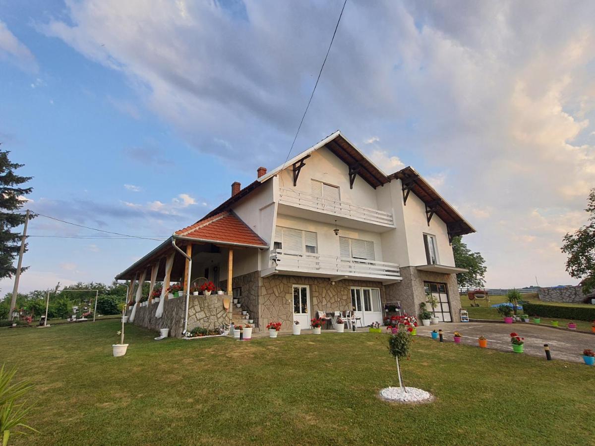 Odmor Na Selu Babajic Apartment Ljig ภายนอก รูปภาพ