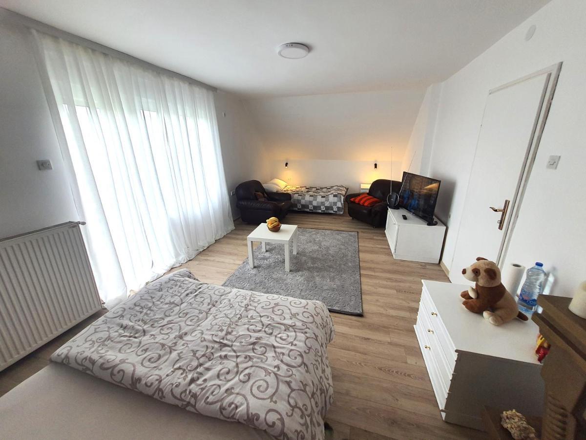 Odmor Na Selu Babajic Apartment Ljig ภายนอก รูปภาพ